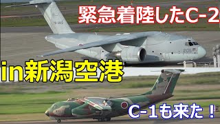 緊急着陸した、C2輸送機見てきた！ C1輸送機も来た！in 新潟空港 2024年5月10日 航空自衛隊 [upl. by Arrehs]