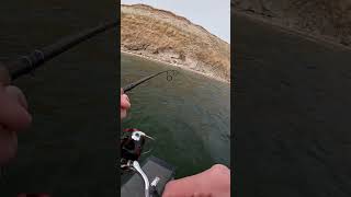 Beautiful Lake Diefenbaker Rainbow Trout nature fishing [upl. by Aramo]