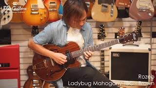 Blue Guitars  Rozeo  Ladybug MahoganyTBC  Brown [upl. by Kowatch]