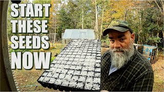 Seeds to plant in winter  unheated greenhouse tour [upl. by Mihalco]