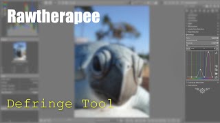 Rawtherapee Defringe Tool [upl. by Grosz]