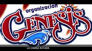 ORGANIZACION GENESIS  LA CAMISA RAYADA [upl. by Nnaycnan]