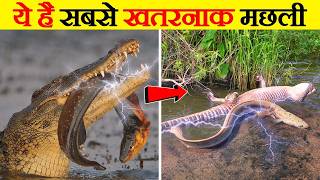 क्या मछली भी करेंट पैदा कर सकती है। Can fish also produce current [upl. by Peregrine]