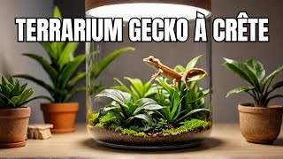 TUTO TERRARIUM POUR GECKO À CRÊTE [upl. by Yoshio]