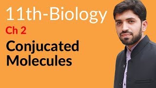 FSc Biology Book 1 Ch  Conjugated Molecules  Inter part 1 Biology [upl. by Prentiss]