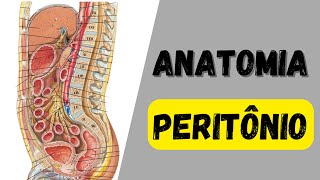 ANATOMIA  Peritônio [upl. by Annia606]