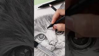 FaberCastell Automatic Eraser youtubeshorts art artist drawing draw eraser fabercastell [upl. by Colby]