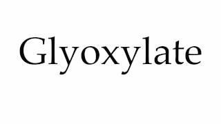 How to Pronounce Glyoxylate [upl. by Meeks]