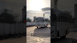 nwkrtc dharwad belagavi KA31F1602 rajhamsa ex sirsi div ashokleyland travel ksrtc kkrtc [upl. by Fatma159]