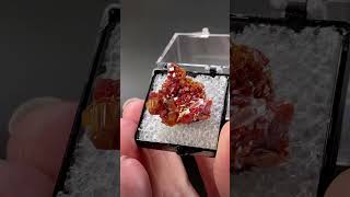 Vanadinite Thumbnail Specimens from Morocco crystals minerals [upl. by Sadler]