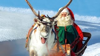 Renne di Babbo Natale in Lapponia Finlandia 🎅🦌 Santa Claus Rovaniemi video per le famiglie Rovaniemi [upl. by Yeliw289]