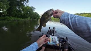 Incredible Topwater Day wBPS Chaos Shad [upl. by Zadack]