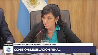 COMISIÓN COMPLETA LEGISLACIÓN PENAL  8 de octubre de 2024  Diputados Argentina [upl. by Elleon]