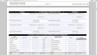 How to fill out a Uniform Residential Loan Application Fannie Mae 1003 Explained [upl. by Tallbot]