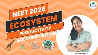 Chapter 12 Ecosystem Revision of Productivity and Decomposition in one shot [upl. by Phares]