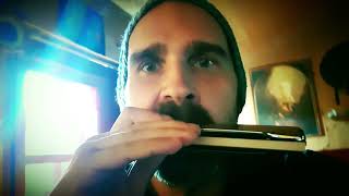 Yagé Harmonica  Healing Frequencies  Modified Tuning quotValentiaquot [upl. by Drapehs]