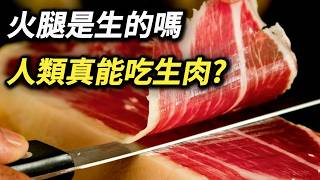 豬肉不能生吃，為何火腿可以 拆封直接吃就是吃生豬肉嗎 生食肉類 金華火腿 伊比利亞火腿 豬肉牛肉 生魚片刺身 壽司 三分熟牛排 莎樂美腸 [upl. by Pauiie652]