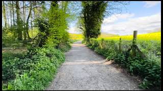 Kingsley Vale Yew Trees National Park in Chichester West Sussex England [upl. by Aliakam287]