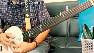 Minstrel Fretless Banjo nyoba mainan baru [upl. by Mildred]