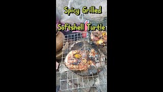 Spicy Grilled Softshell Turtle [upl. by Adaiha]