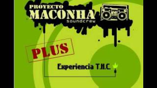 Proyecto Maconha quotRoots Controlquot [upl. by Avihs]