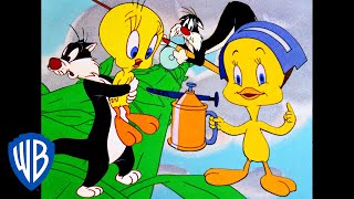 Looney Tunes  Best of Tweety Bird and Sylvester  Classic Cartoon Compilation  WB Kids [upl. by Anatak]