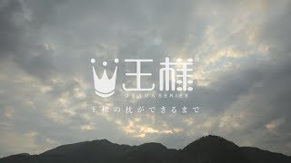 【公式】王様の夢枕シリーズ ～王様の枕ができるまで～ [upl. by Ardnossak]