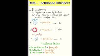 amoxycillin and potassium clavulanate tabletspharmacy pharma bacteria amoxycillin antibiotics [upl. by Adamok]