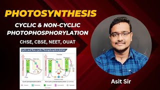 Cyclic amp Noncyclic Photophosphorylation asitbotany2107 [upl. by Carpio639]