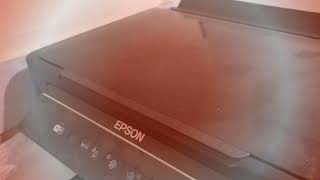 IMPRESSORA EPSON L365 E OUTRAS FAZER RESET DA CONTAGEM DA ALMOFADA DE TINTA [upl. by Patrich359]