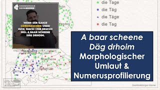 quotA baar scheene Däg drhoimquot – Der morphologische Umlaut amp Numerusprofilierung 🗨️ Sprawib [upl. by Castara283]