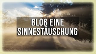 Bloß eine Sinnestäuschung  Eckhart Tolle [upl. by Gabriele818]