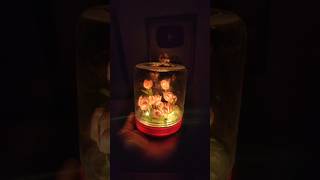 Its so beautiful lamp tulips diy 3dpen craft 3dpenart 3dpencreations shorts art ytshorts [upl. by Ellehc293]