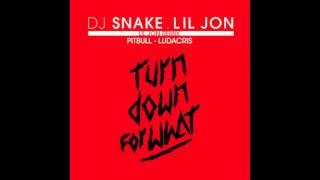 DJ Snake Feat Lil Jon amp Pitbull amp Ludacris Remix [upl. by Dahsar]