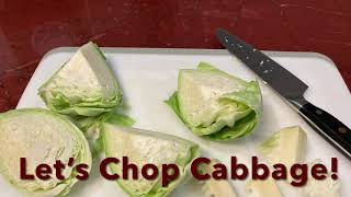 Vitamix Food Processor Cabbage 1st Attempt newbie [upl. by Yvon348]