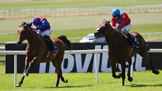 🇱🇺 LUXEMBOURG is all heart to win Tattersalls Gold Cup [upl. by Ogden]