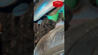 How to tail tidy continental GT 650 Removing mud flap if gt650 gt650tailtidy mudflapremovalgt [upl. by Asen]