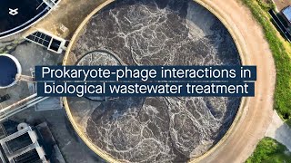 Characterizing the microbial community in a wastewater treatment system [upl. by Kersten]