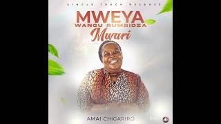 Mweya wangu rumbidza Mwari [upl. by Anurag]