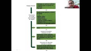 Aula metabolismo microbiano [upl. by Lesna]