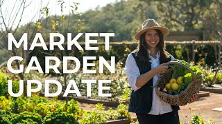 Winter Market Garden Update [upl. by Ddot726]