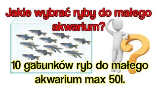 10 GATUNKÓW RYB do MAŁEGO AKWARIUM [upl. by Adnoyek]