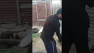 Kashmiri wazwasn funny reel [upl. by Autrey259]