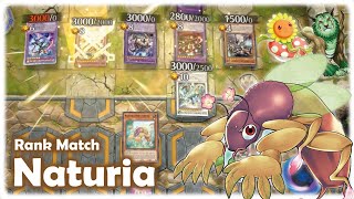 Naturia OTK Deck  Quick WIN  Master duel  Tier 0  Reflect damage [upl. by Elsilrac]