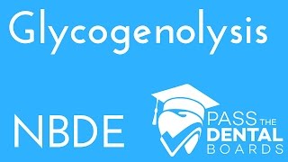 Glycogenolysis  Biochemistry  NBDE [upl. by Moffit479]