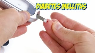 Diabetes Mellitus [upl. by Ailecec75]