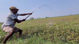 Professional Fisherman Hunting amp Catching Big fishes by Big HookUnbelievable hook fishing video [upl. by Ojeitak335]