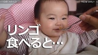 046生後7ヶ月20日赤ちゃん『離乳食リンゴおもしろい顔』Funny face1st apple [upl. by Jena679]