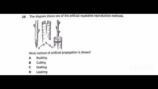 2024 BIOLOGY PAPER 1 Vegetative Propagation [upl. by Hecht140]