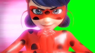 Ladybug Unify Green Screen [upl. by Aisela]